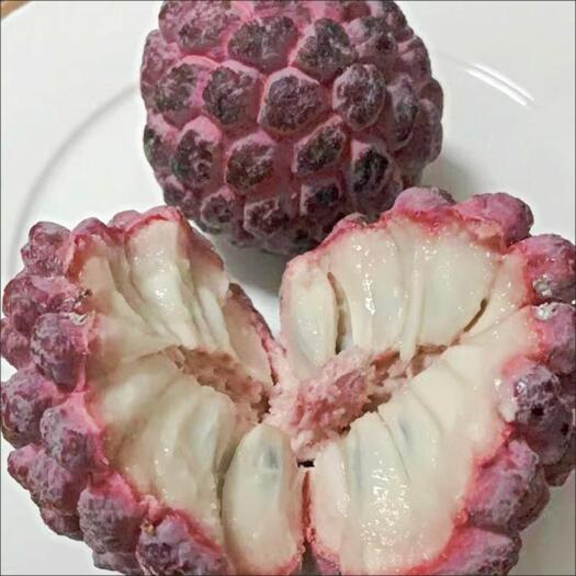 徐闻县玫瑰释迦  红释迦 支持一件代发