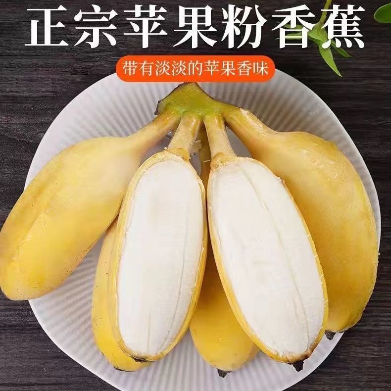 广东正宗苹果香蕉徐闻苹果香蕉新鲜水果产地直发批发包邮