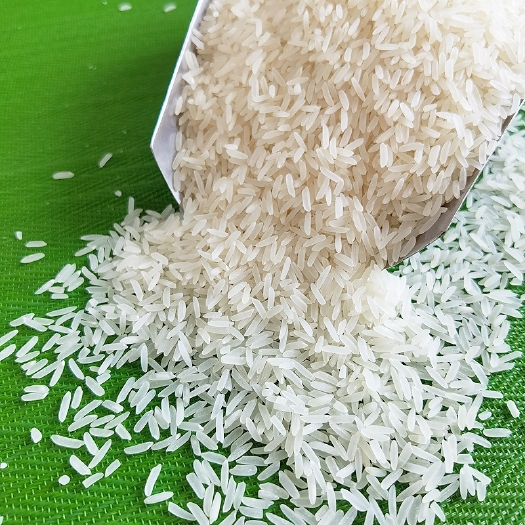 10斤真空装2022早稻新米高山油粘米软糯香甜广西优质大米