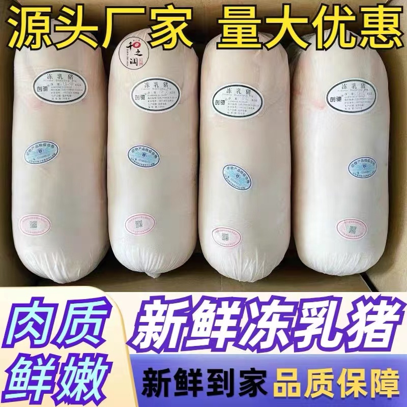 昌乐县乳猪，烤乳猪，脆皮乳猪