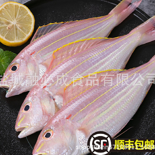 日照5斤顺丰包邮鲜红杉鱼新鲜海钓水产深捞冷冻红三鱼鲜活