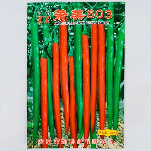 沭阳县辣椒种子萧美603线椒种果实细长羊角型深绿色耐热耐湿肉厚耐运