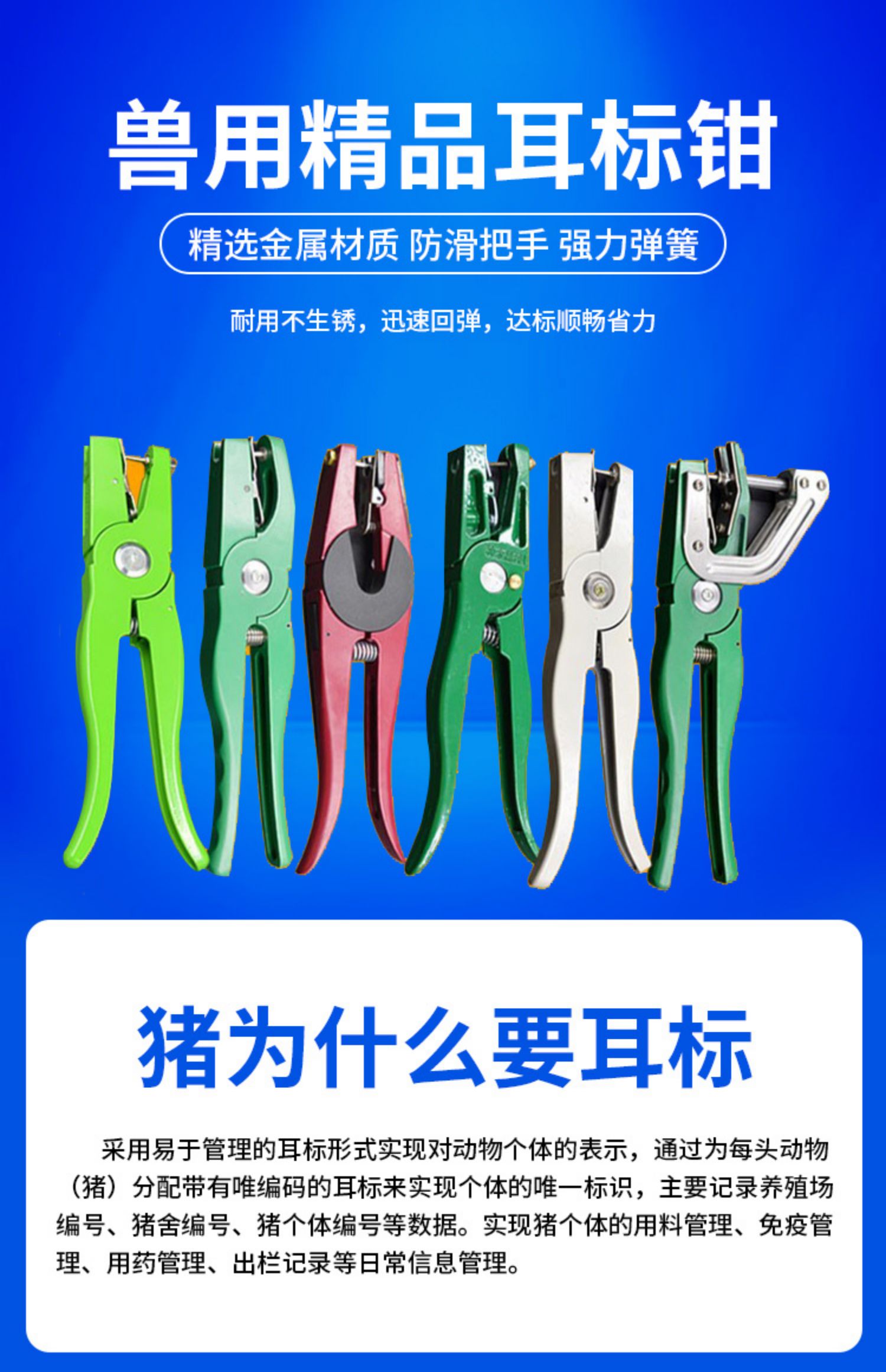 猪耳标钳大号猪用打耳标的钳子耳孔钳羊牛用兽用自动母猪耳号钳针
