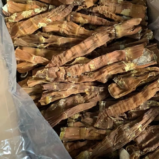成都无流笋同