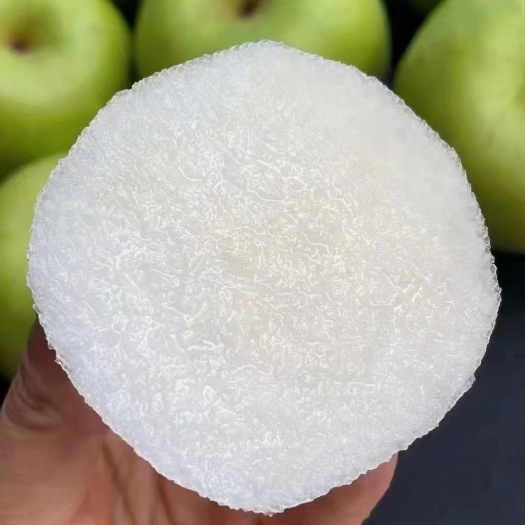 肥西县砀山翠玉梨