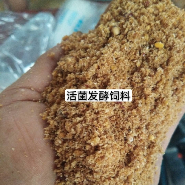 禽畜用饲料  厂家直销益生菌发酵饲料