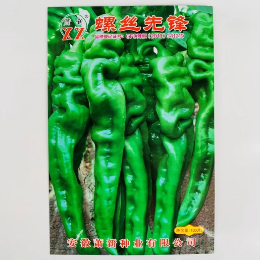 沭阳县辣椒种子萧新螺丝先锋螺丝椒种子早熟果实粗长羊角型翠绿色辣味香