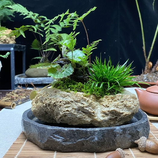 芒市水上石 吸水石已加工