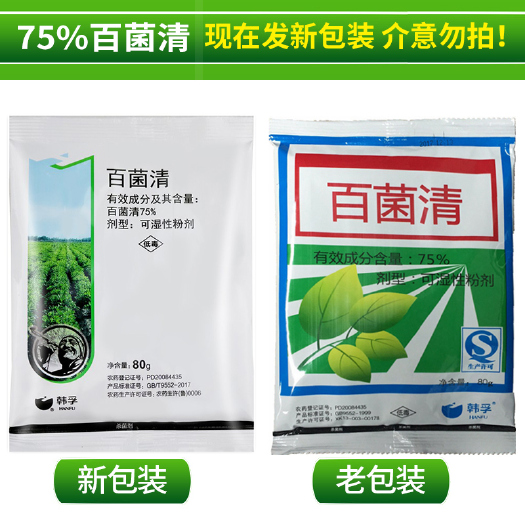75%百菌清花卉植物多肉葡萄黄瓜炭疽病白粉病杀菌剂农药