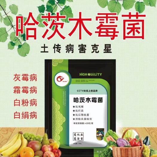 邯郸【厂家直销】哈茨木霉菌，防灰霉病，霜霉病，白粉病，白绢病