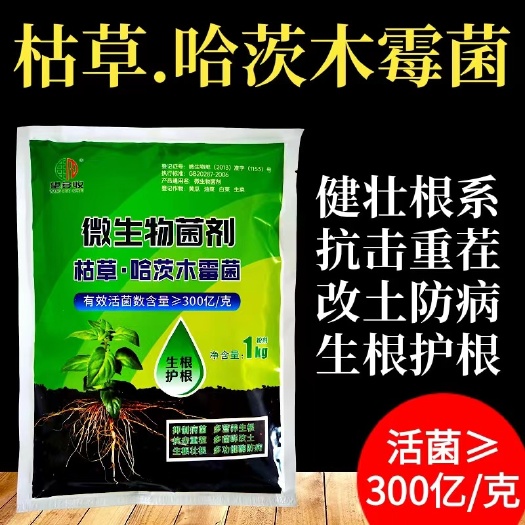 潍坊300亿枯草芽孢杆菌2亿哈茨木霉菌