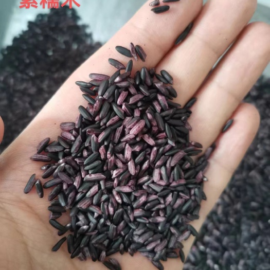 原阳县紫糯米