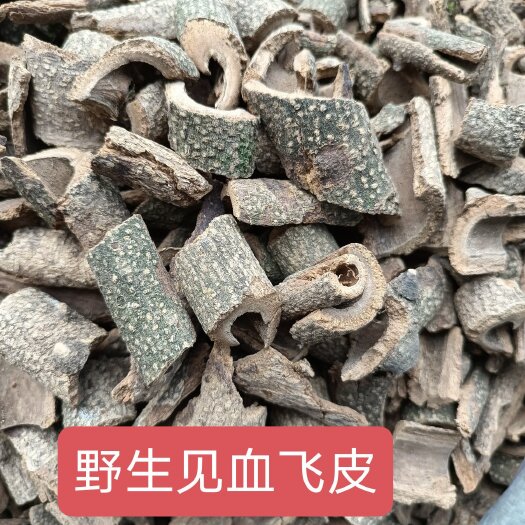 黔西市贵州见血飞干货 飞龙血掌 三百棒铁打损伤骨痛