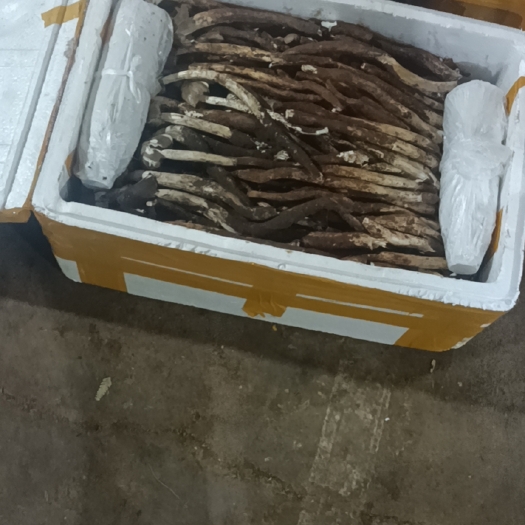 昆明火把鸡枞