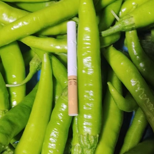 邯郸红椒，青椒大量现货，加工厂，走市场都可以，要的联系我，