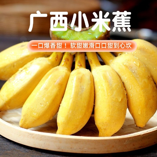 南宁广西新鲜小米蕉，一件代发包邮。