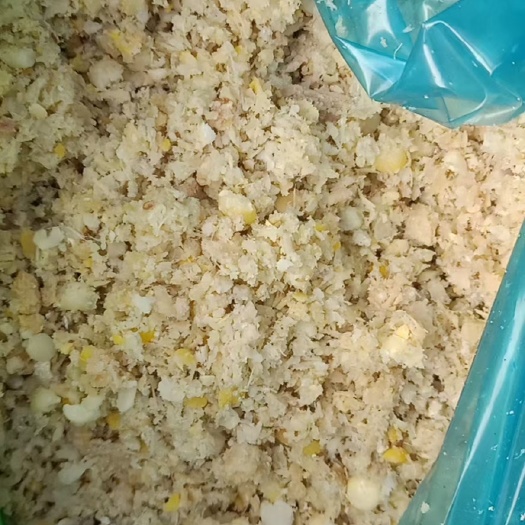 衡水熟化玉米