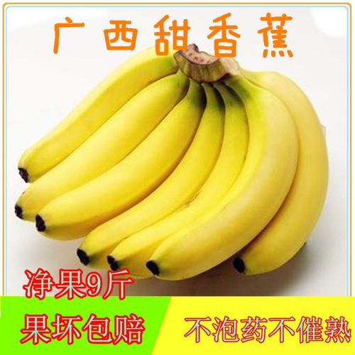 南宁广西威廉斯香蕉精品果，大香蕉。一件代发