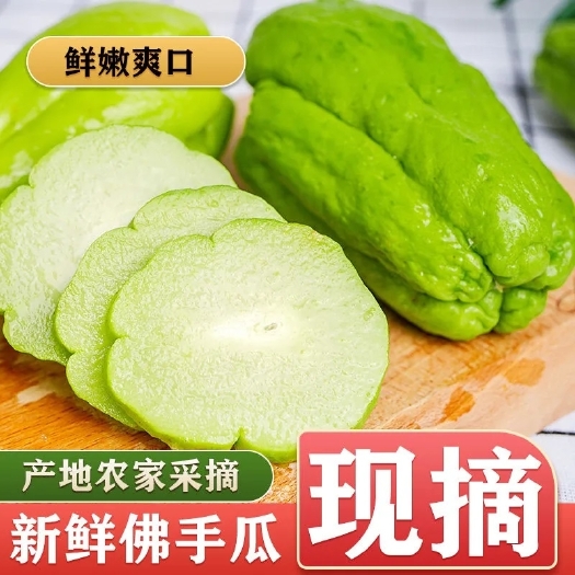 惠水县佛手瓜5毛一斤