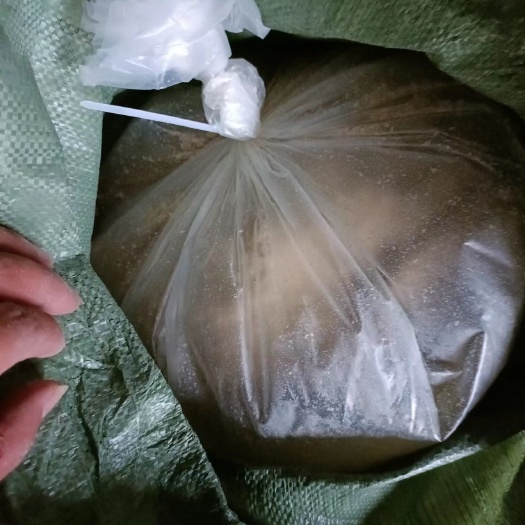 和县发酵的豆渣、新鲜的豆渣。厂家直销，养殖佳品。