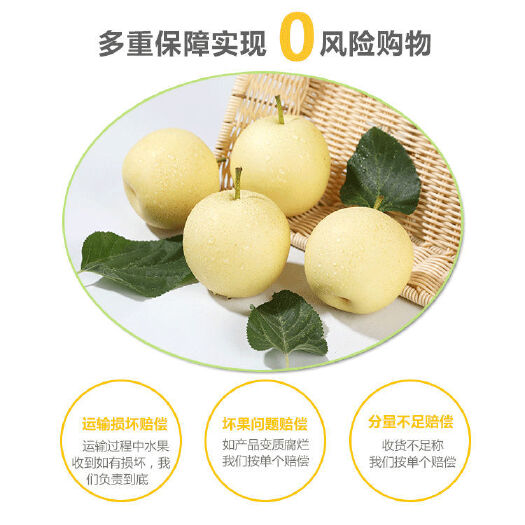 西华县皇冠梨大量上市