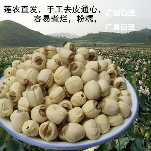 广昌县新货白连，大量现货