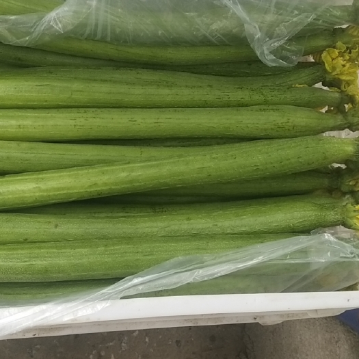 宣城皮质好 量大
