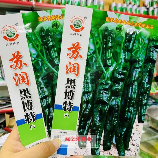 沭阳县苏润黑博特皱皮椒种子 青果黑绿色皮薄质脆辣味香浓皱皱辣种子