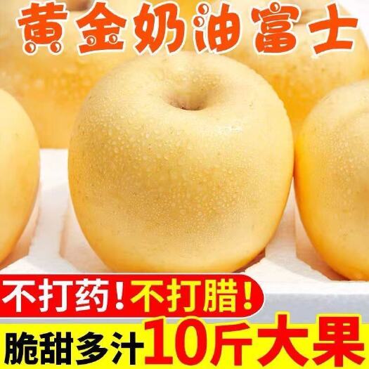 兴城市奶油富士苹果烟台栖霞脆甜苹果新鲜应季水果新品种