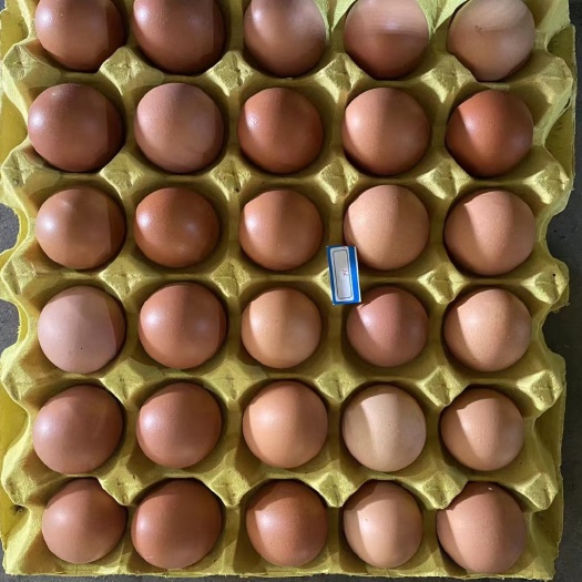 新绛县红壳鸡蛋
