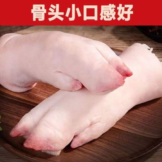新鲜冰冻猪蹄猪脚猪手 20斤整箱 卤菜食堂酒店专用食材
