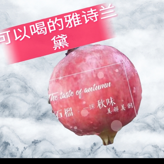 会理市会理突尼斯软籽石榴！产地直发一件代发！代购！欢迎对接！