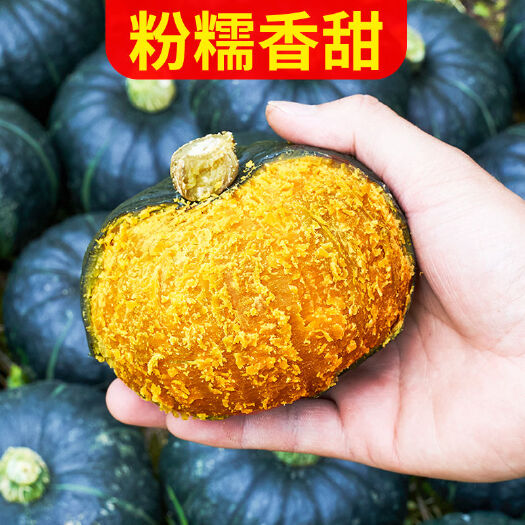 大连现货贝贝板栗瓜量不多先收藏物流运费找客服协商