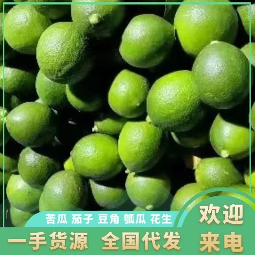 徐闻县青柠檬