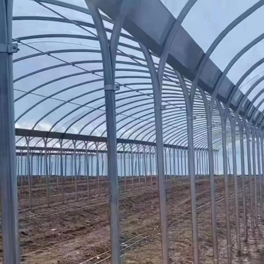 天津大棚钢管，骨架备件棚膜等