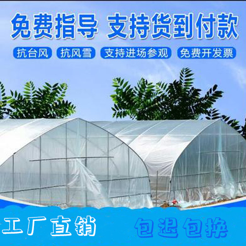 沭阳县蔬菜大棚，养殖大棚，