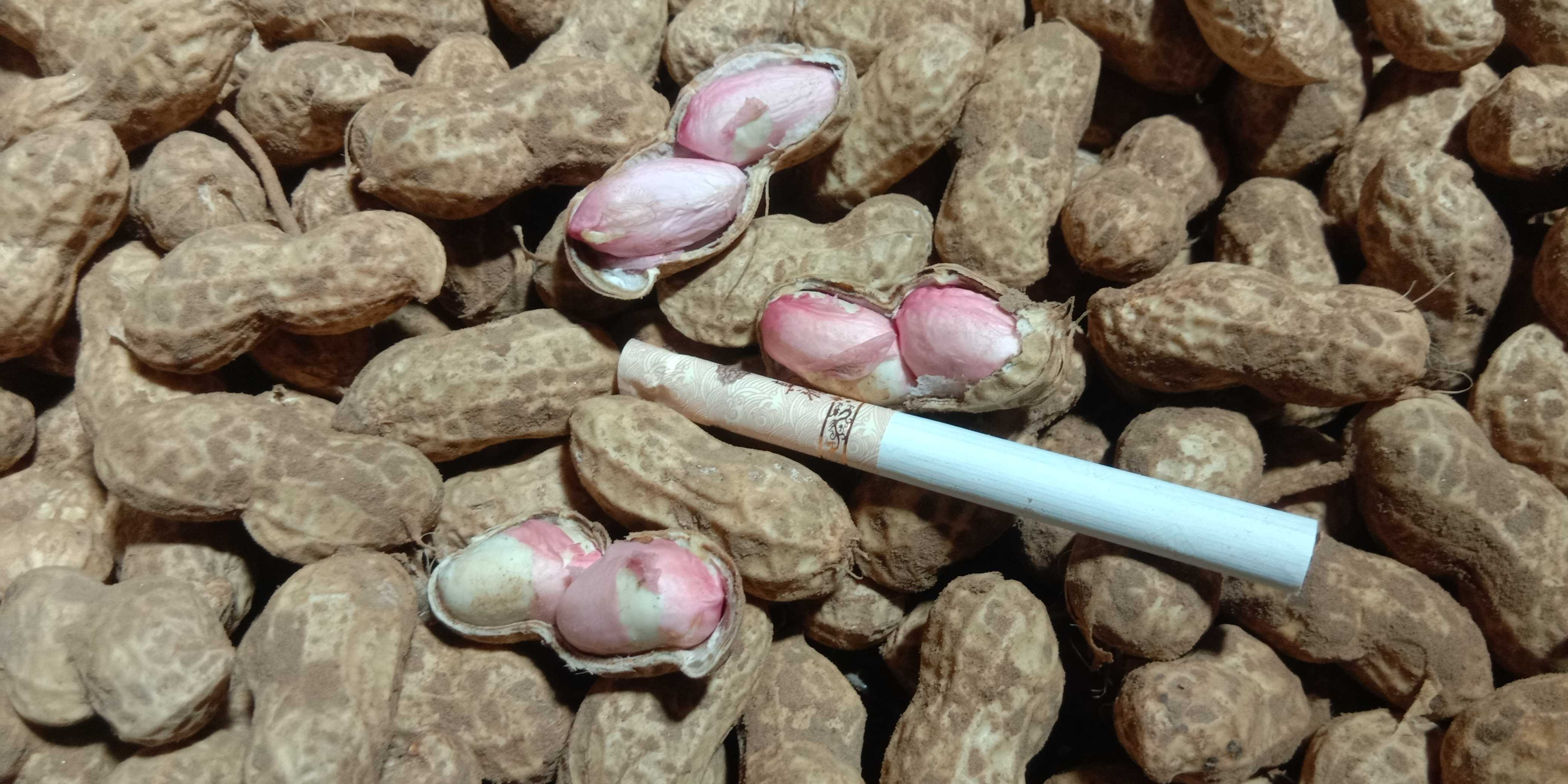 商丘花生鲜花生，机器过筛，人工挑选，品质保证诚信经营，欢迎新老客