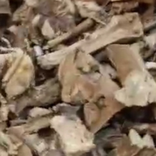 临武县五指毛桃(干货)