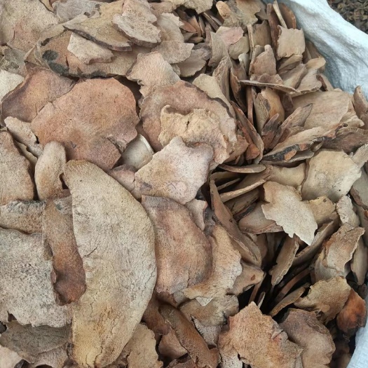 亳州土茯苓  木质土茯苓 粉质土茯苓 白土茯苓 多规格批发