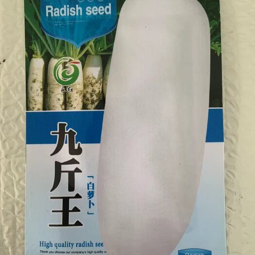 特大九斤王长白萝卜种仔夏秋季播种不空心四季高产春不老耐高温