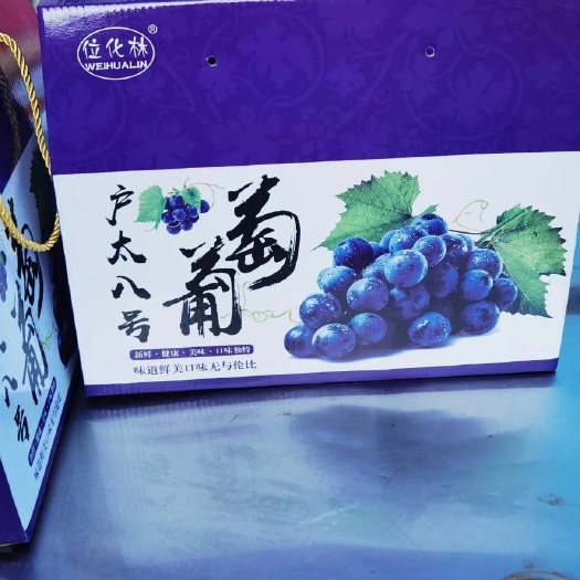 西安户太八号葡萄