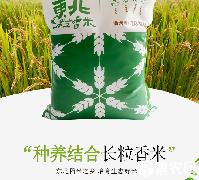 东北长粒香大米10kg/袋