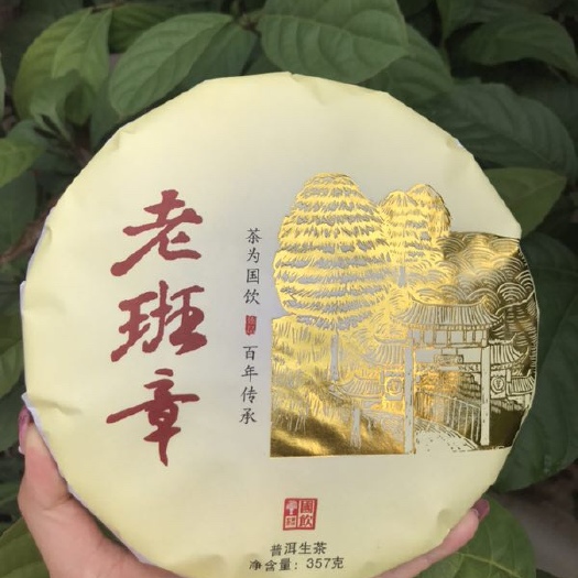 广州六年陈料压制2018年老班章条索细节如图杯香明显