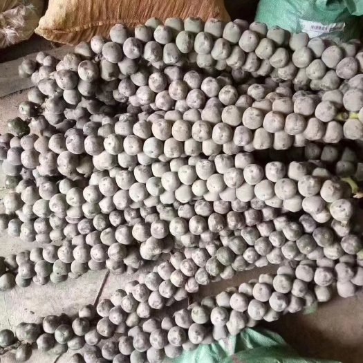 越南追风果大果。，