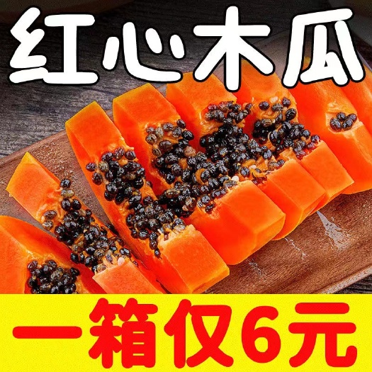 龙州县广西红心木瓜新鲜水果 一件代发 电商代发青木瓜
