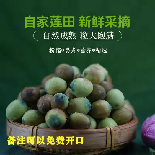 湘潭县麻粒莲子莲子，有褐色莲，有黑色莲