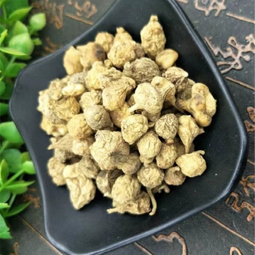 亳州滴水珠、一滴珠、一粒珠、石、水、制蛇子、独叶一枝花