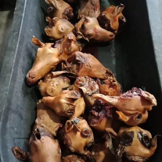 唐县厂家一手货源火烧羊头 羊蹄