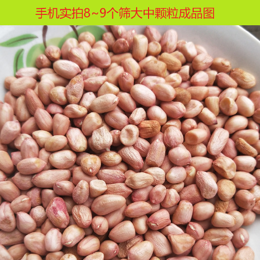 自贡2024年新花生，精选8~9大中子，产地厂家直销