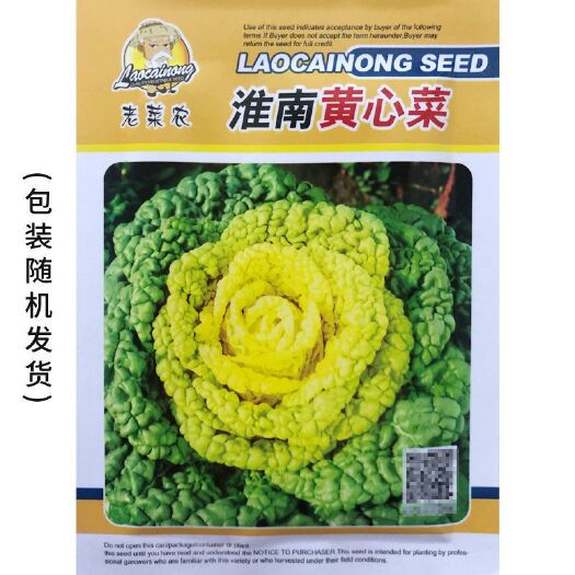 邵东市黄心乌塌菜种子菊花菜黑心乌塌菜种子黄心菜高钙春秋庭院蔬菜种籽